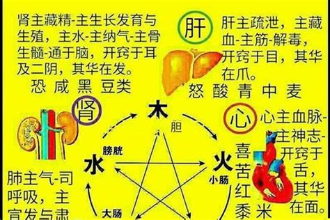 字的五行怎么看